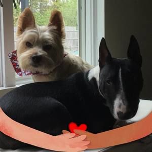 Meet your Posher, Lorraine